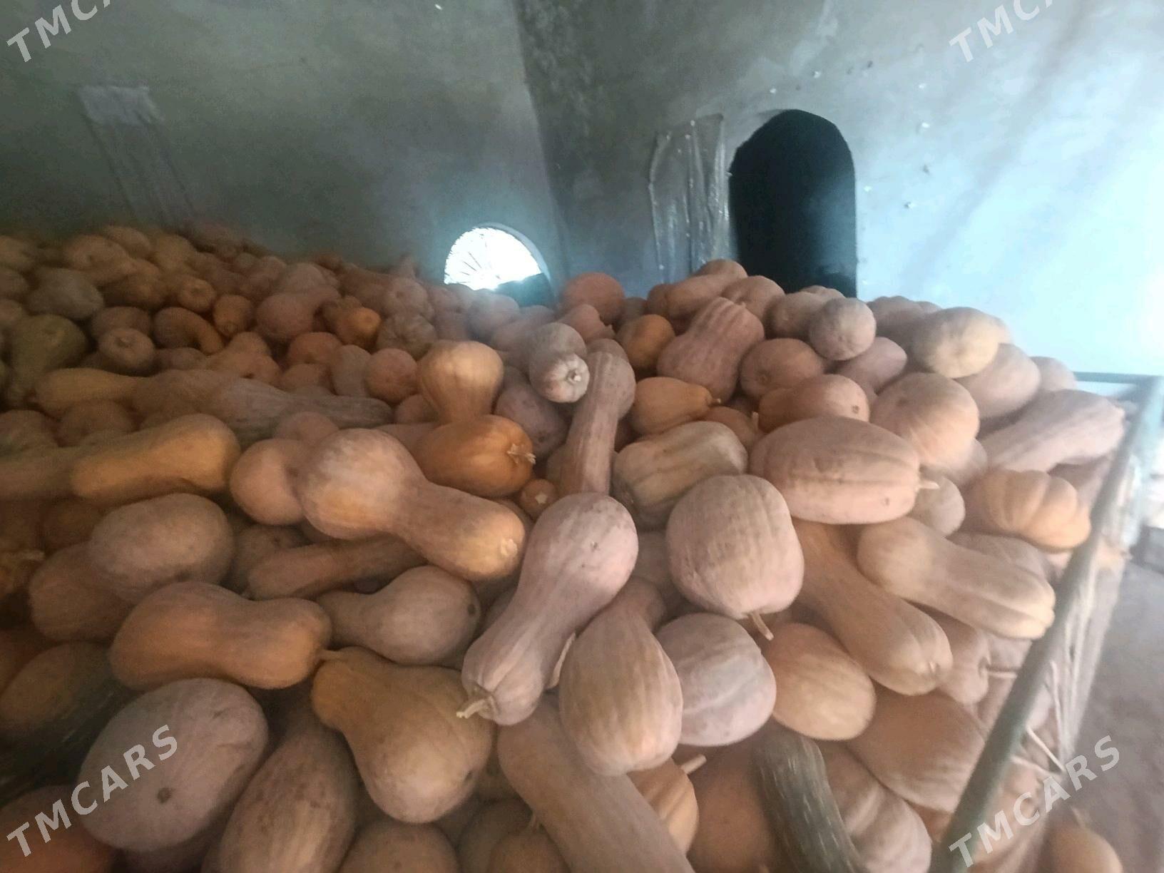 kadi iyilyan suyji kadi - Çärjew - img 4