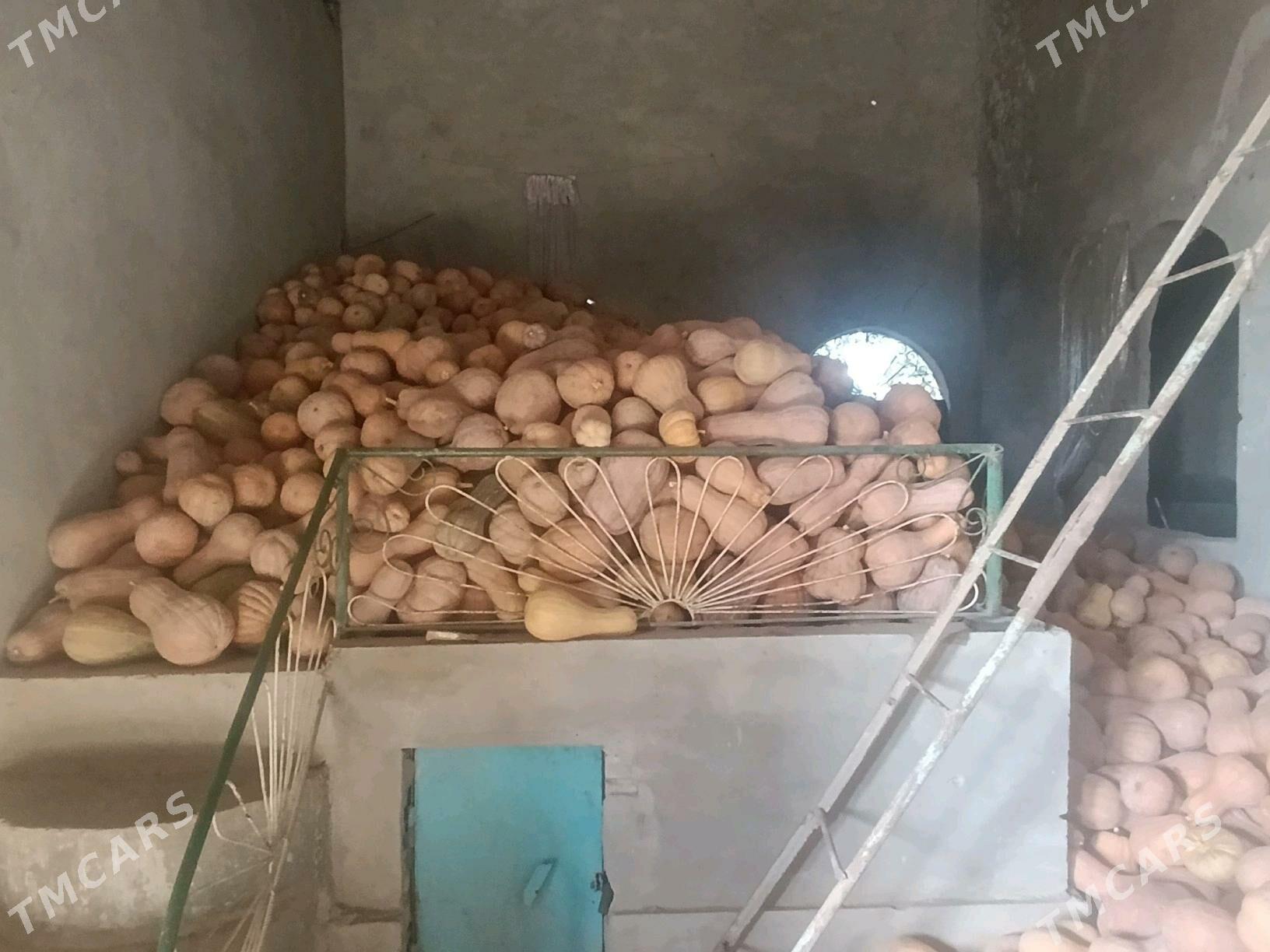 kadi iyilyan suyji kadi - Çärjew - img 5