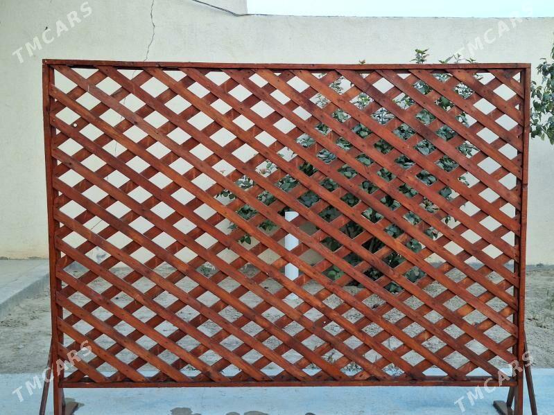 tagta - Büzmeýin - img 3