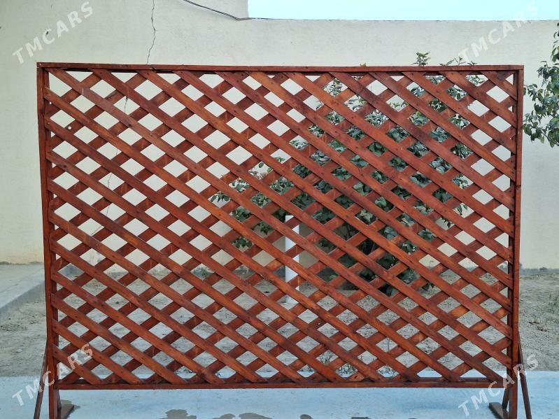 tagta - Büzmeýin - img 4