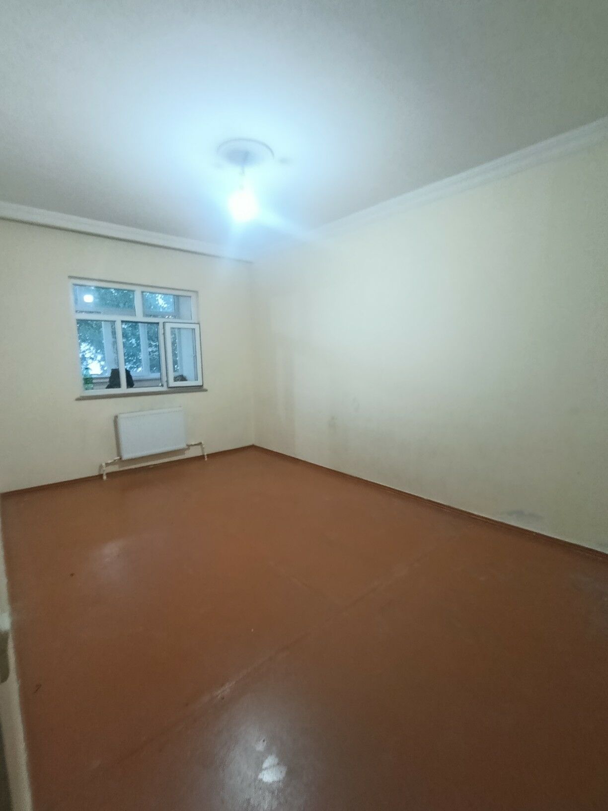 Buzmeyin Kruk - Büzmeýin - img 5