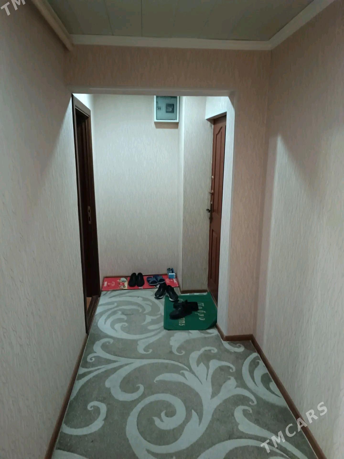 Satlyk jay  - Мары - img 9