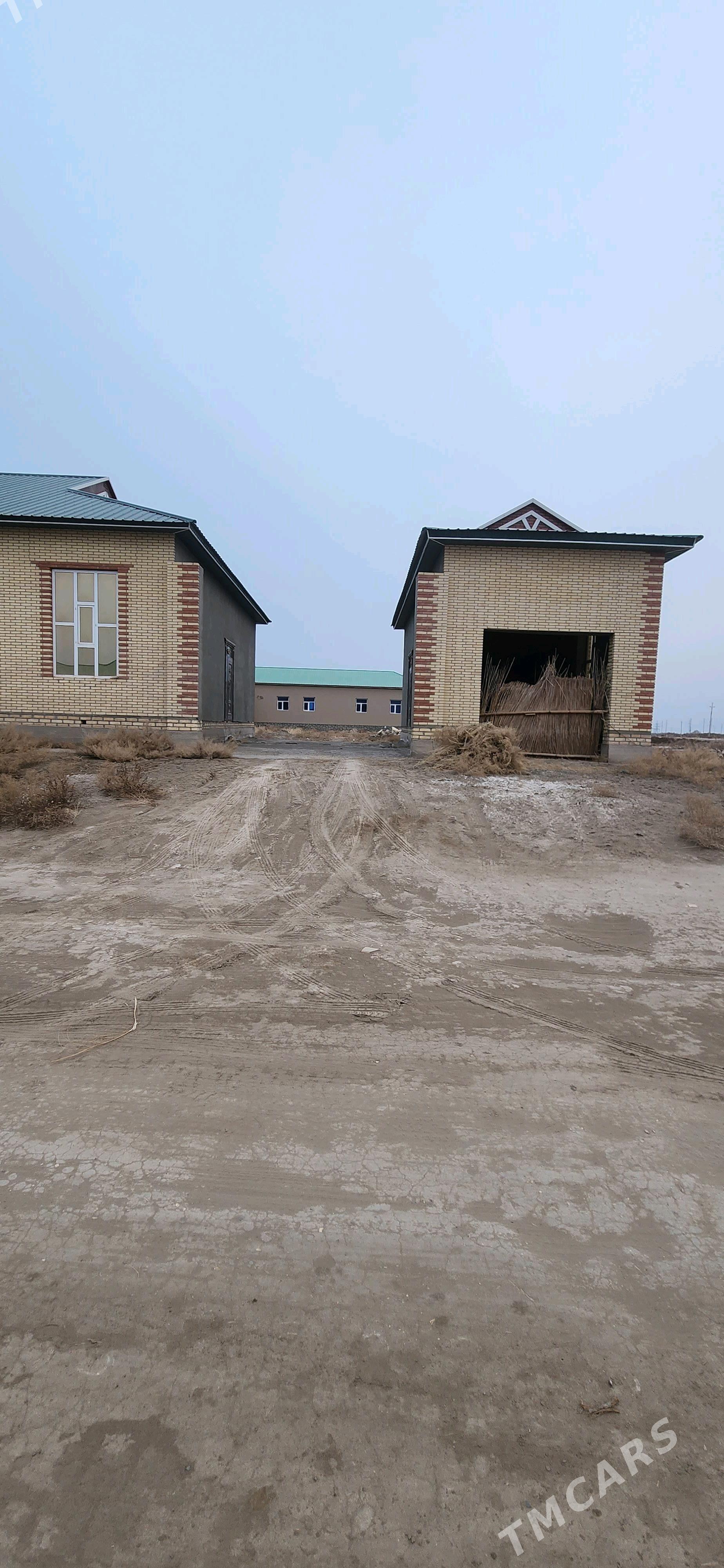 жай - Köneürgenç - img 2