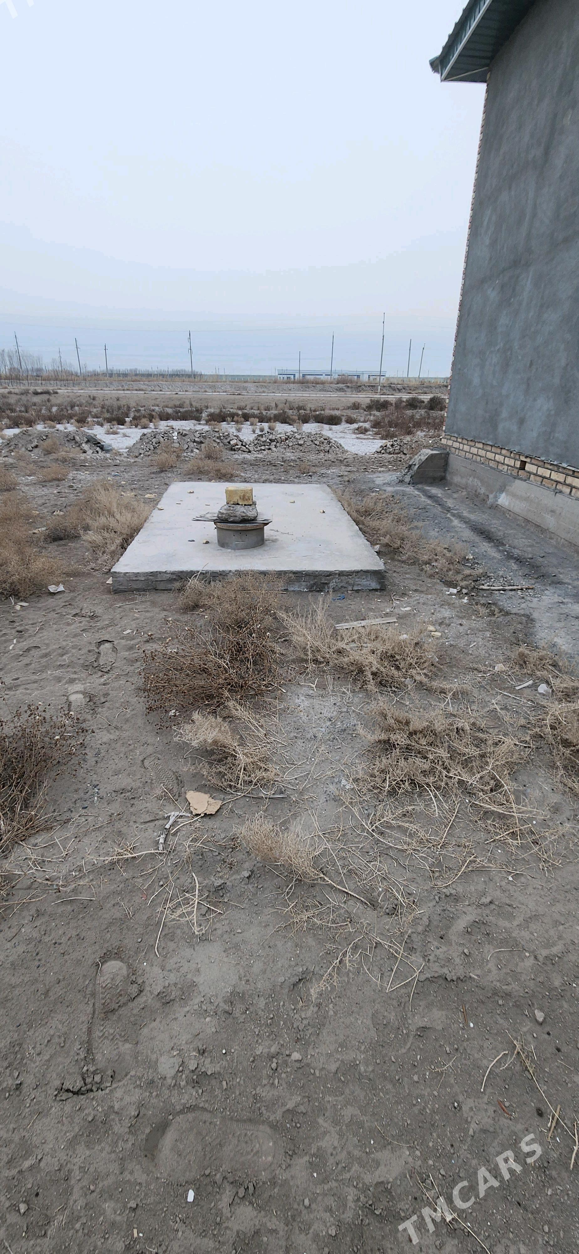 жай - Köneürgenç - img 3