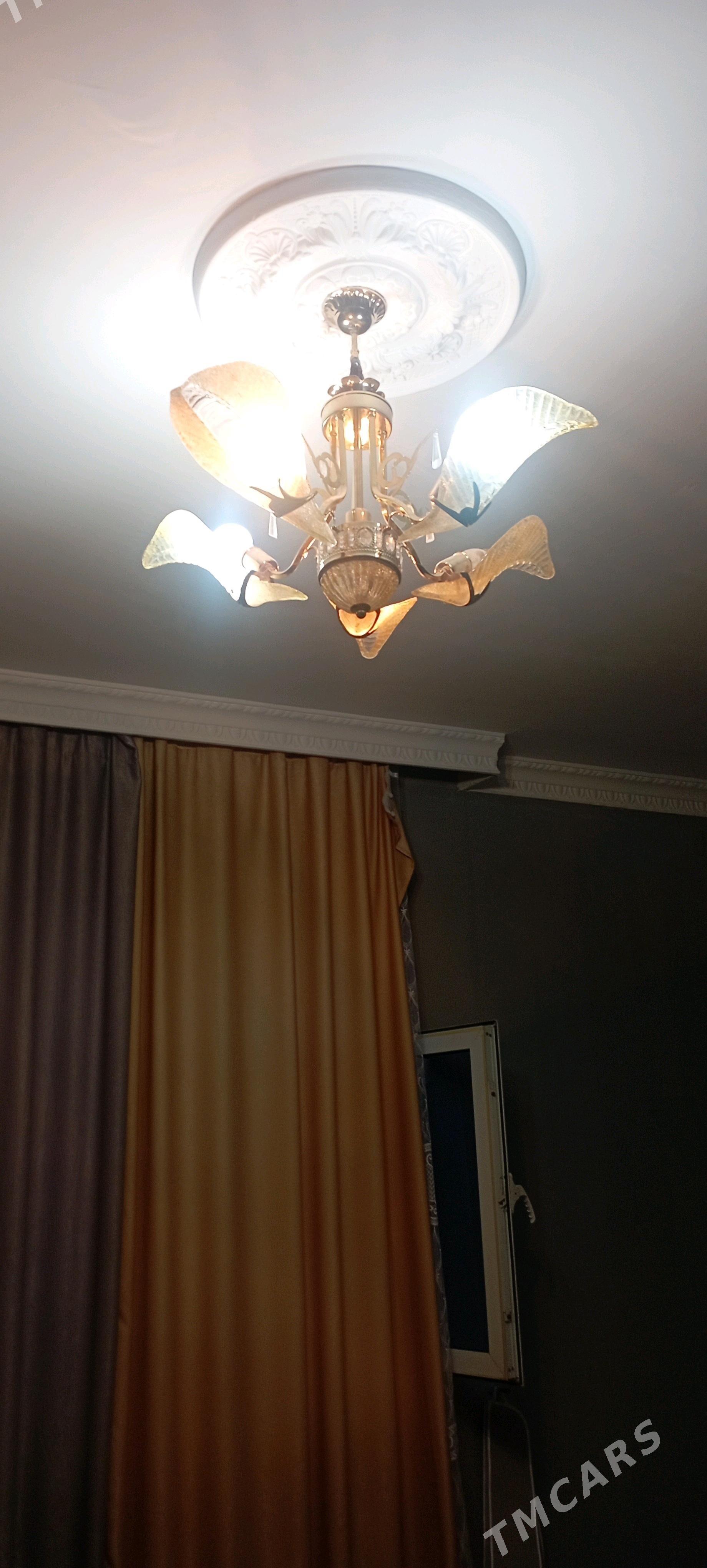 lustra - Çoganly - img 1