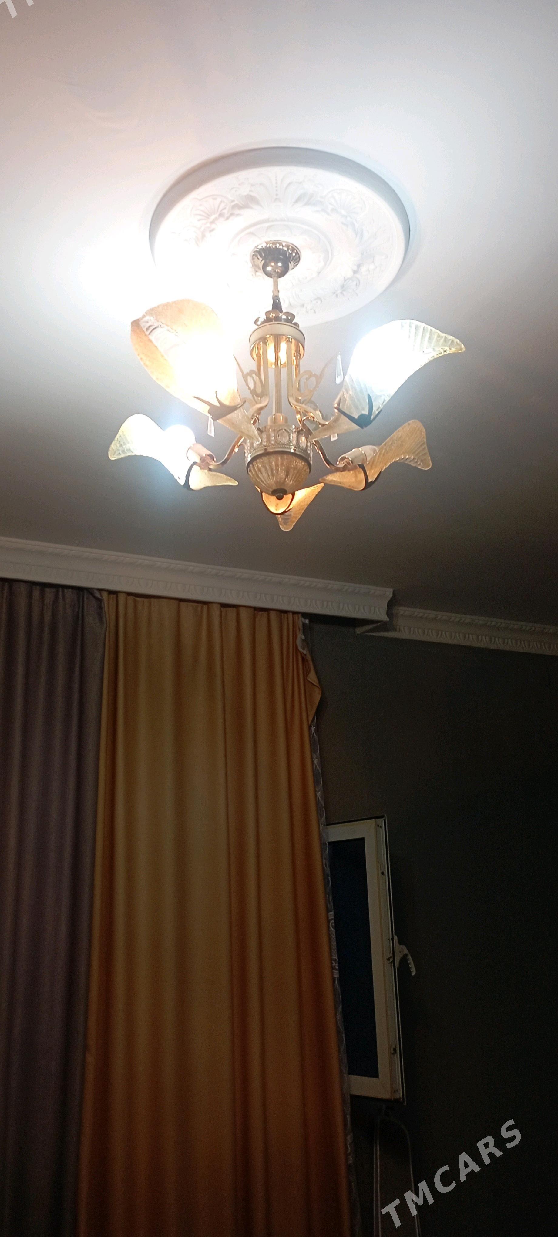 lustra - Çoganly - img 2