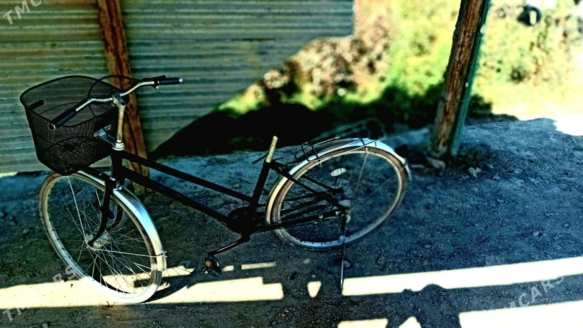 Tigir26 L - Gökdepe - img 2