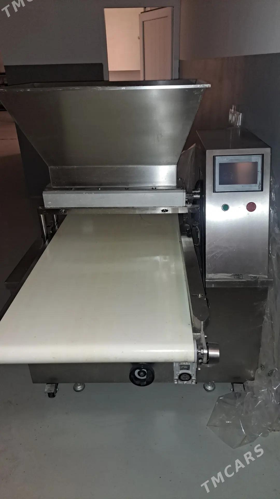 köke çykarýan - Анев - img 2