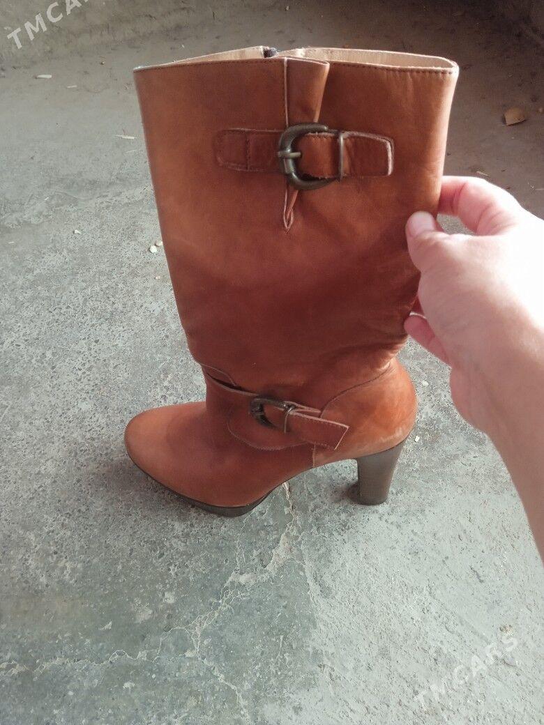 адик - Дашогуз - img 3