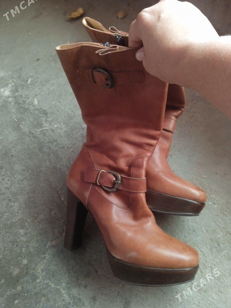 адик - Дашогуз - img 1