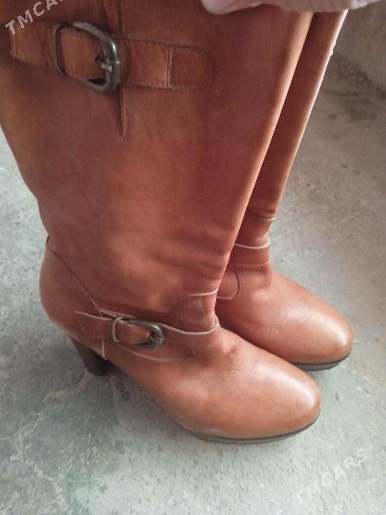 адик - Дашогуз - img 2