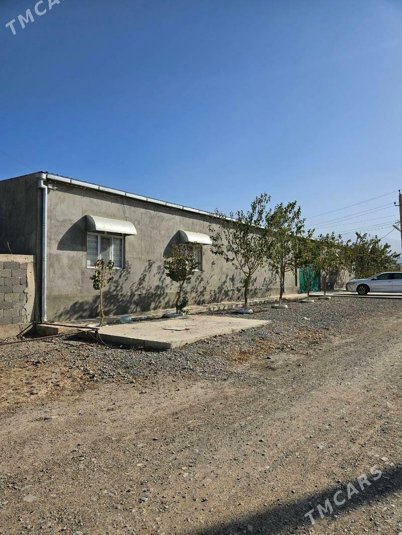 16 sotak yany bln 1Gektar yer - Гёкдепе - img 6