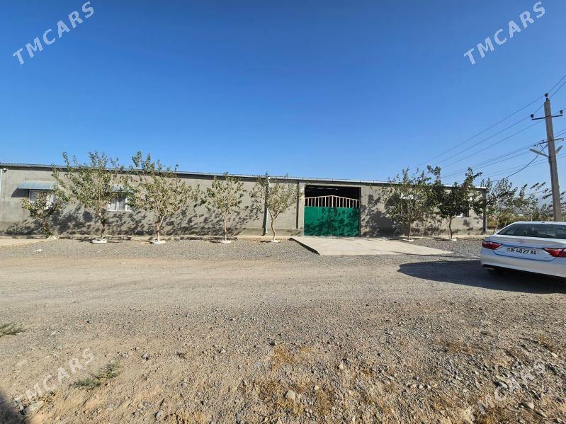 16 sotak yany bln 1Gektar yer - Гёкдепе - img 9