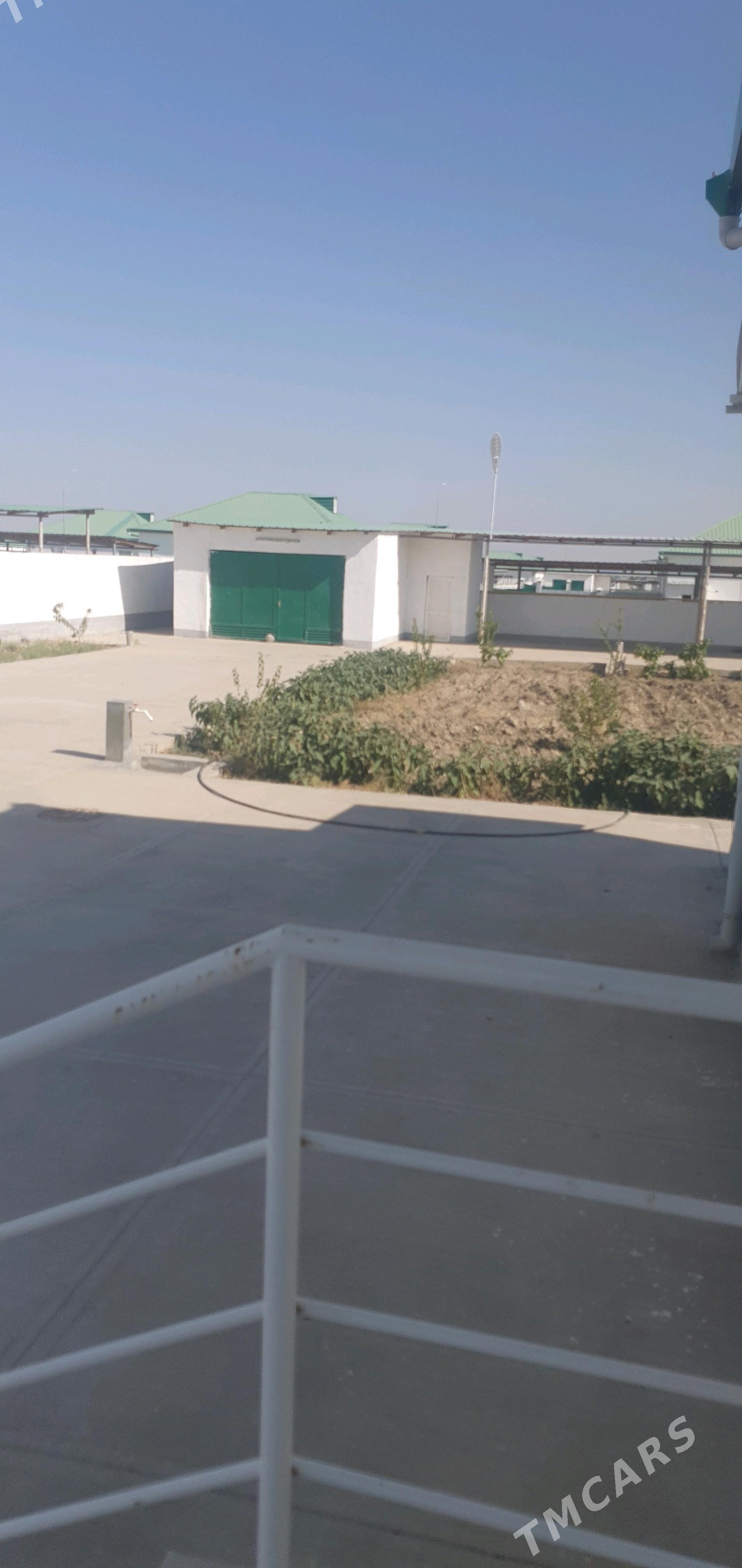 ARENDE JAY.GOKDEPE.KOP.YALKMI - Gökdepe - img 4