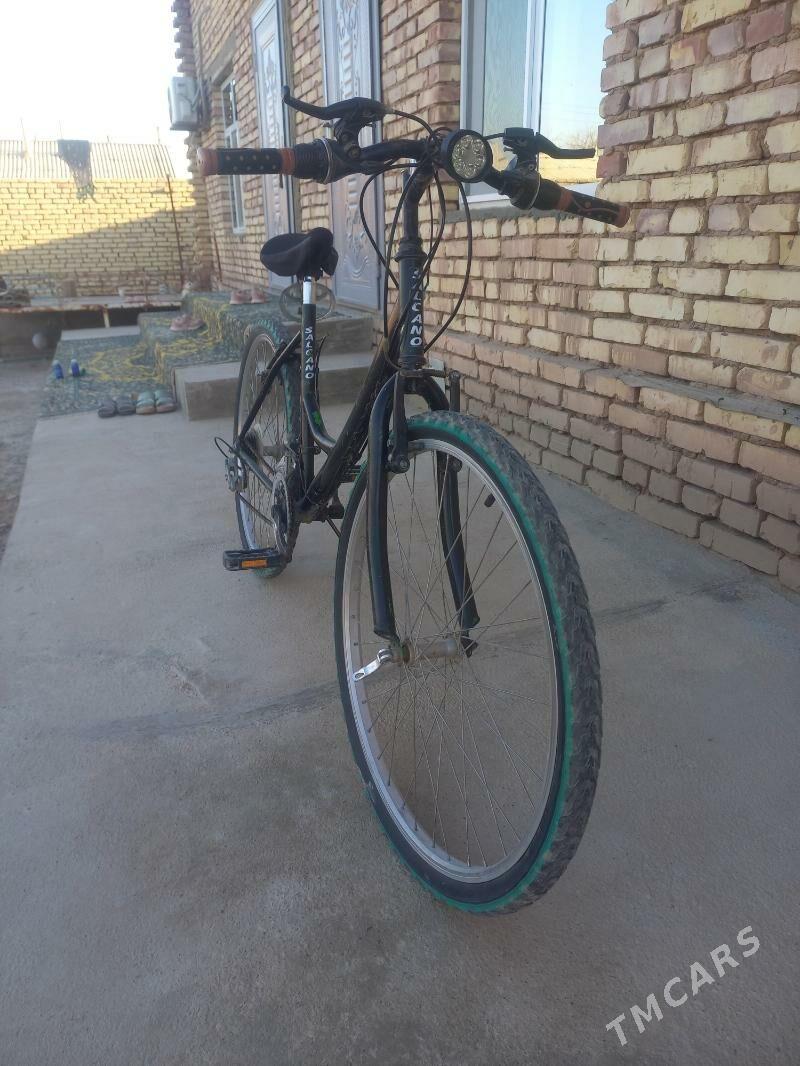 Tigir - Tejen - img 4