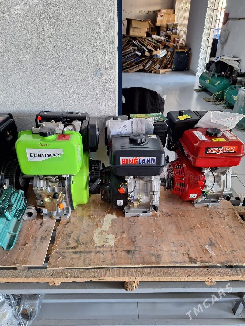 dwitil - Бузмеин - img 2