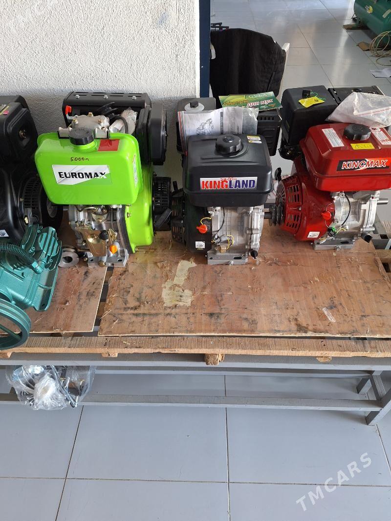 dwitil - Бузмеин - img 4