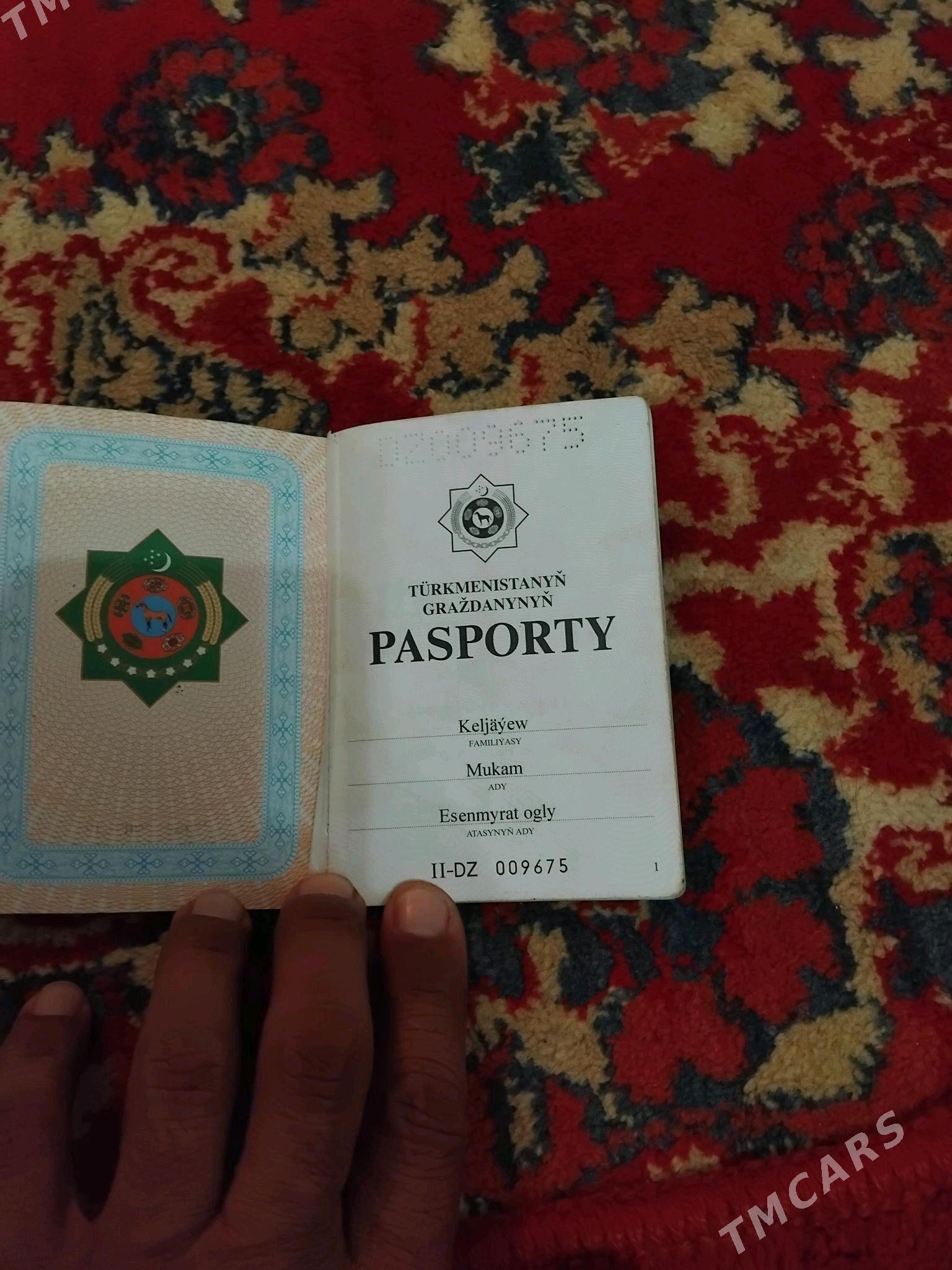 pasport - Kaka - img 3
