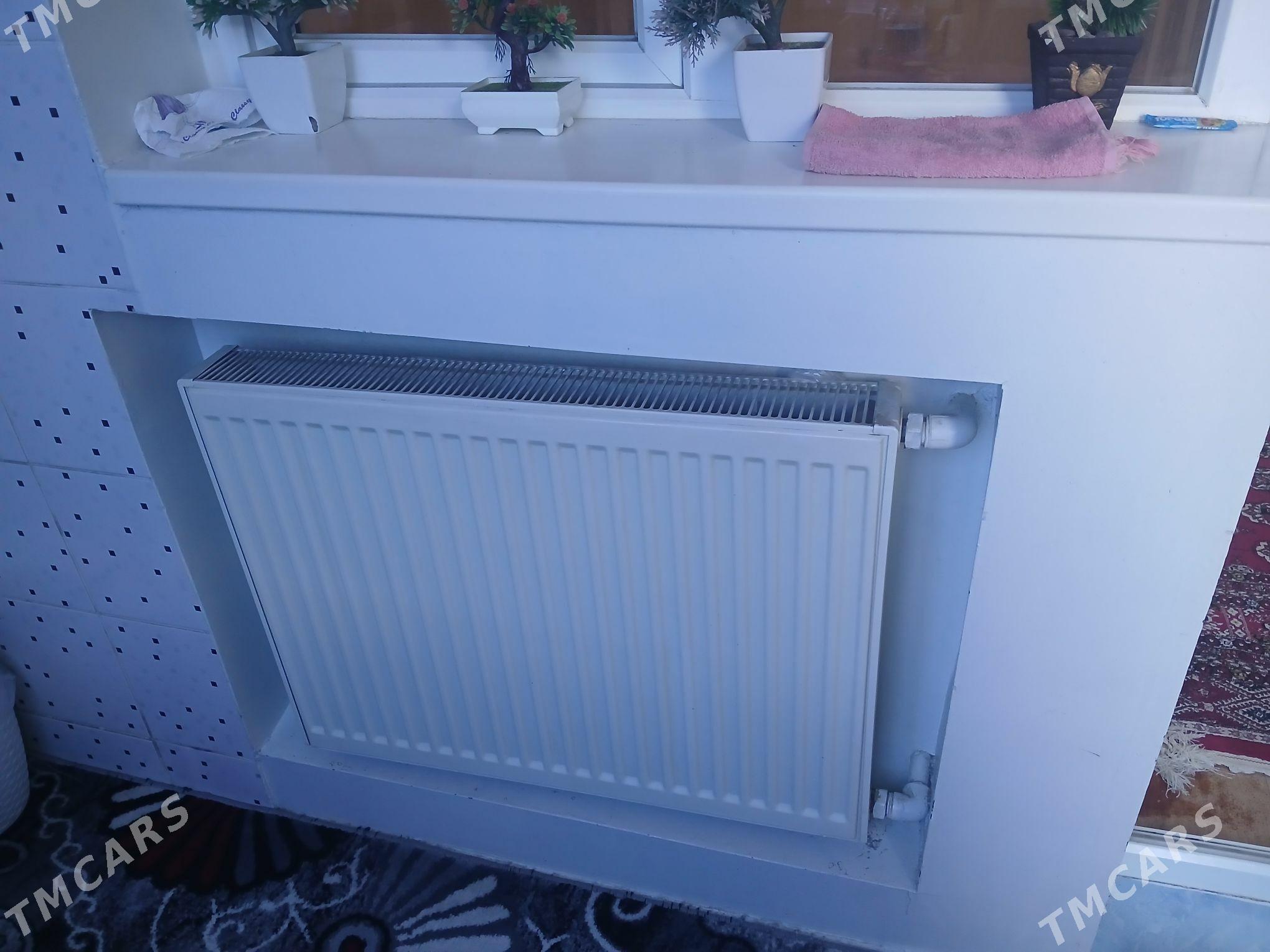 Ataplenya - Ашхабад - img 2