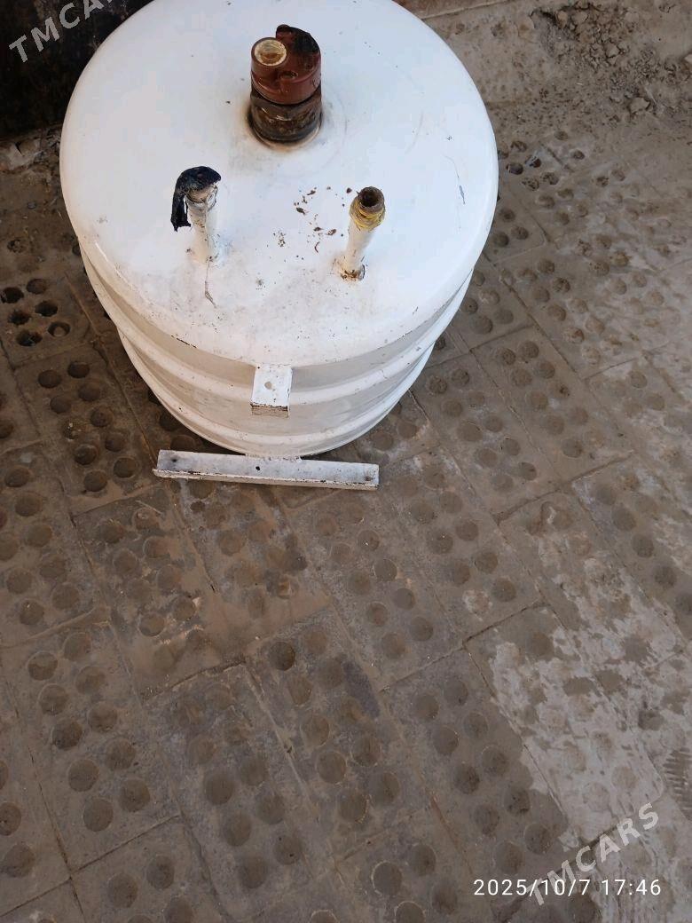 Arston - Sakarçäge - img 1