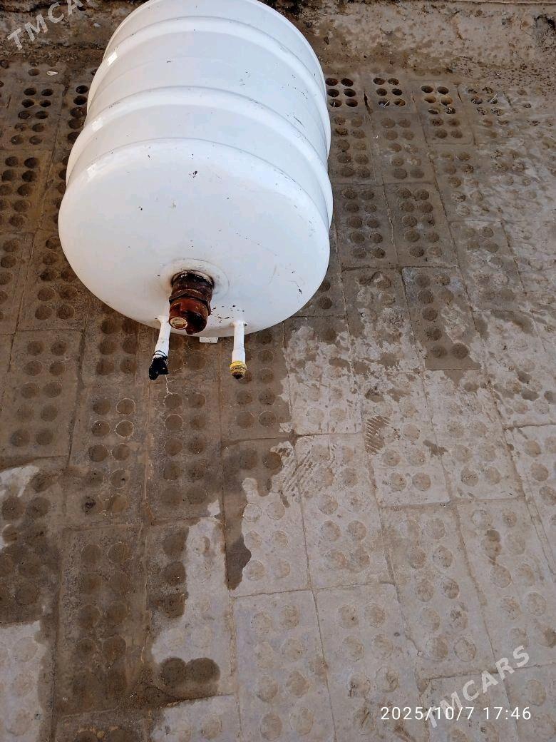 Arston - Sakarçäge - img 2