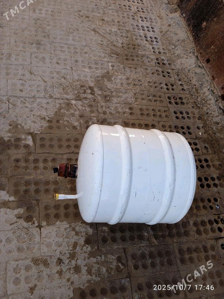 Arston - Sakarçäge - img 3