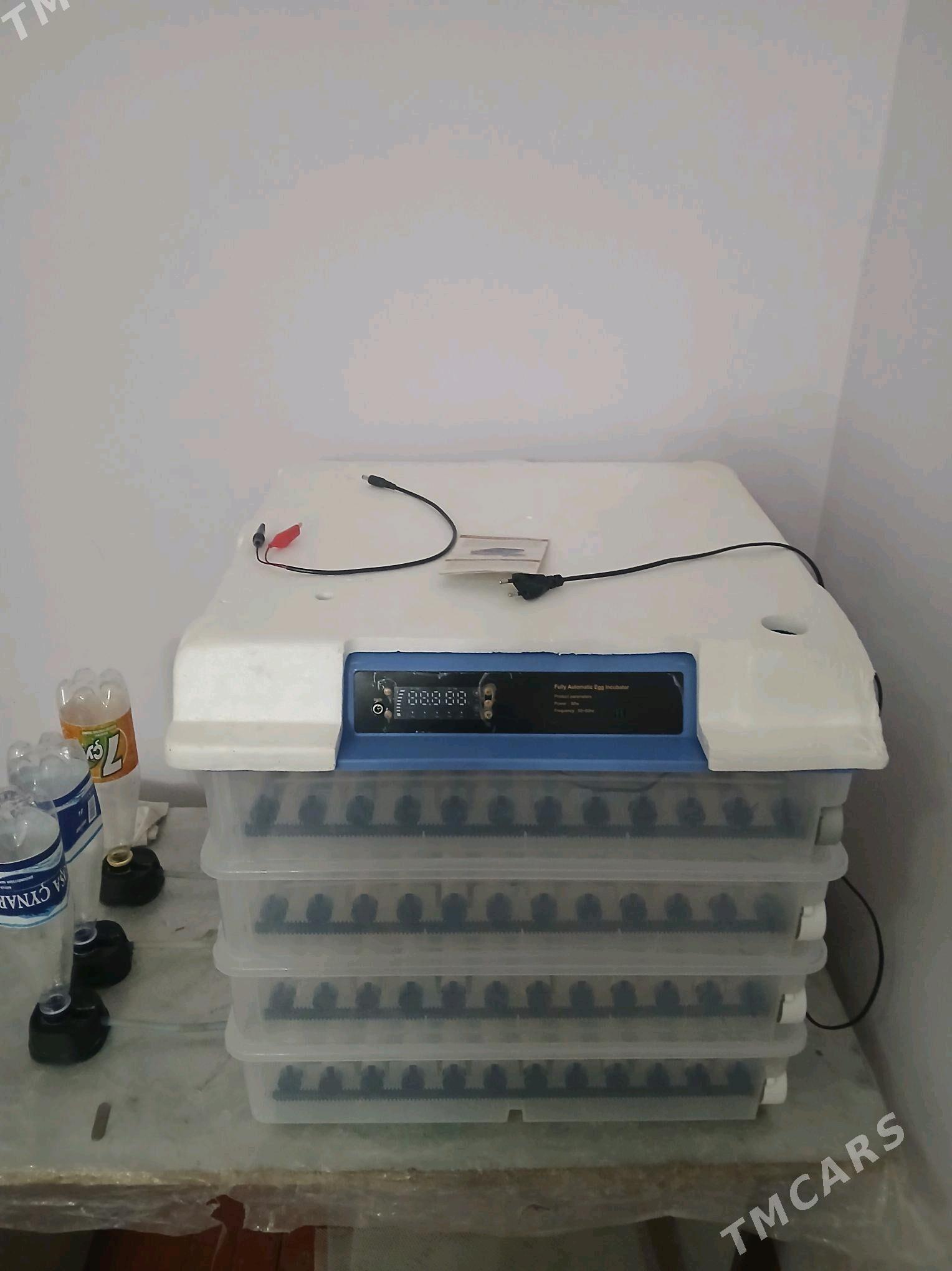 inkabator - Мургап - img 2