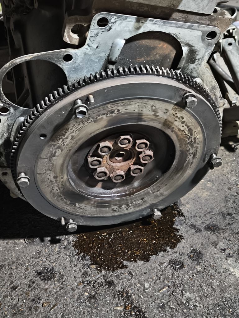 Mahowik karzina feredo 800 TMT - Aşgabat - img 1