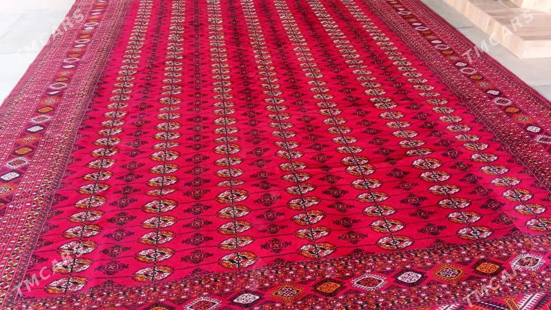 el haly - Ашхабад - img 2