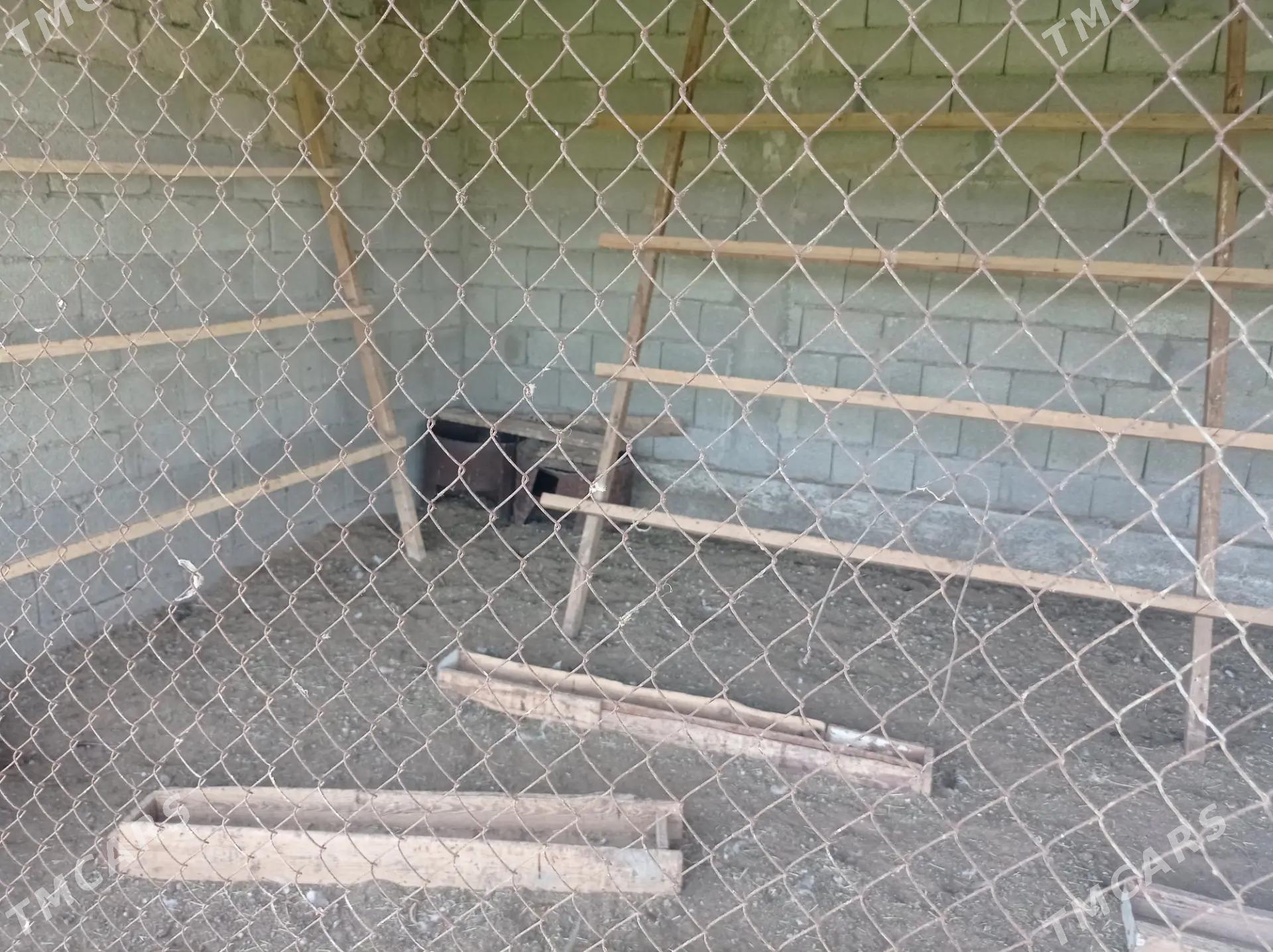 Satlyk Ferma️️️ - Ак-Бугдайский этрап - img 6