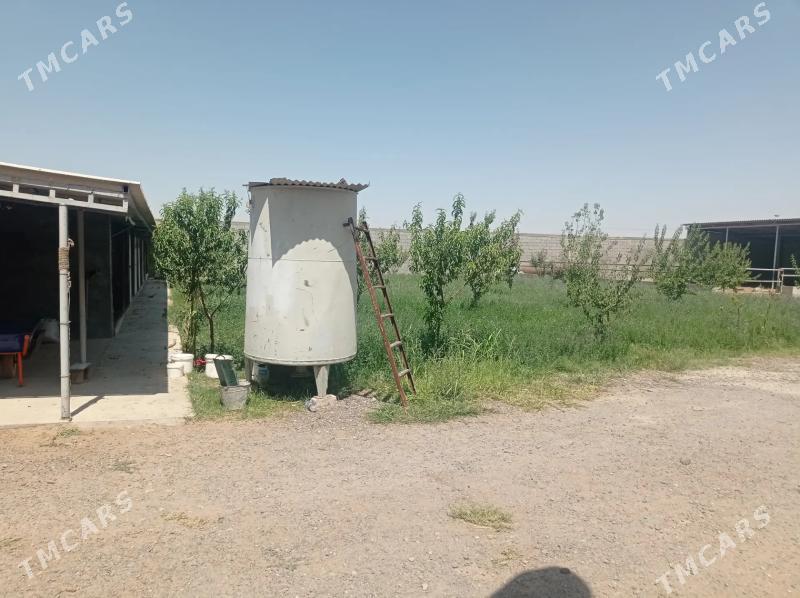 Satlyk Ferma️️️ - Ак-Бугдайский этрап - img 7