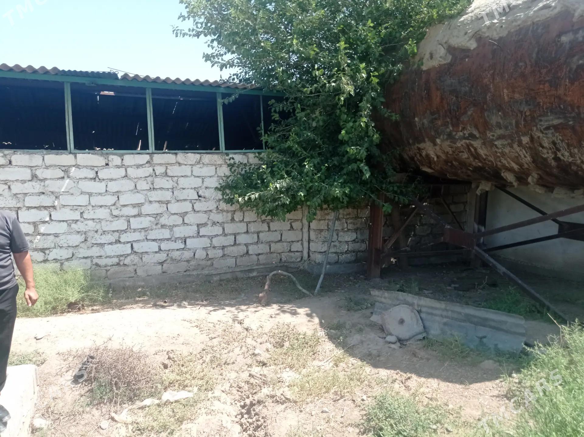 Satlyk Ferma️️️ - Ак-Бугдайский этрап - img 5