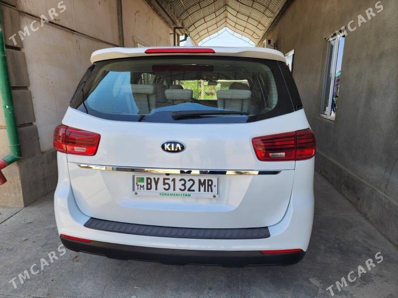 Kia Sedona 2020 - 300 000 TMT - Sakarçäge - img 2