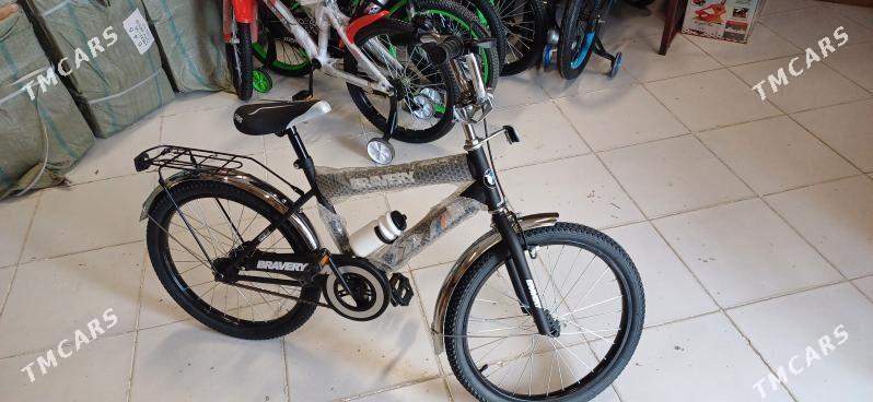 caga tigir - Bedew - img 4