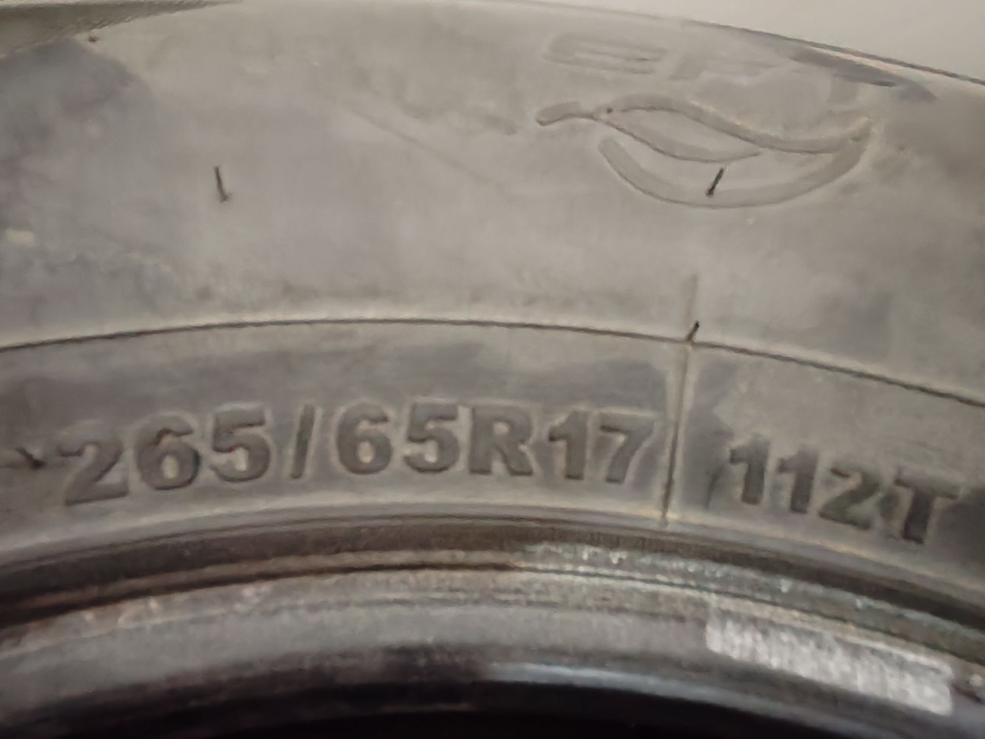 Teker 265.65.17 sailun 50 TMT - Джебел - img 2