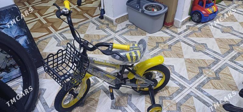 caga tigir - Bedew - img 10