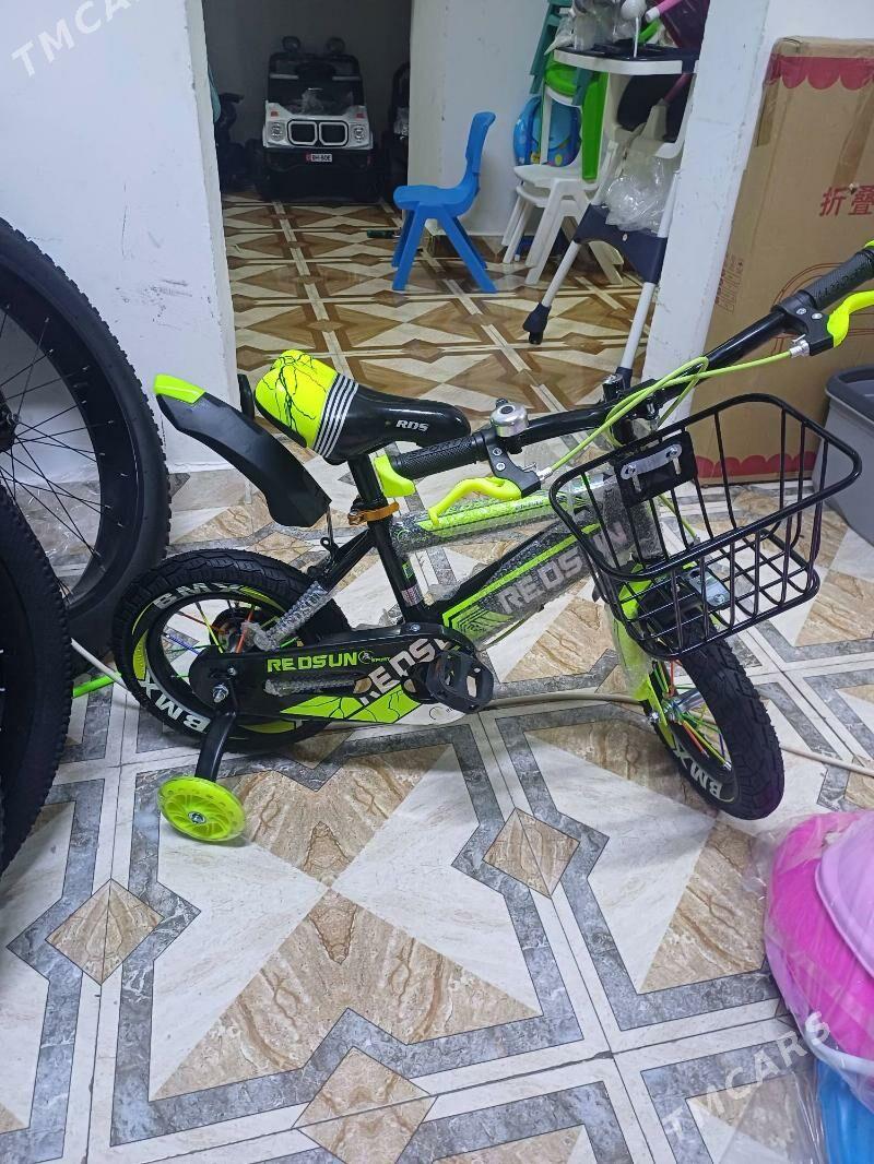 caga tigir - Bedew - img 8