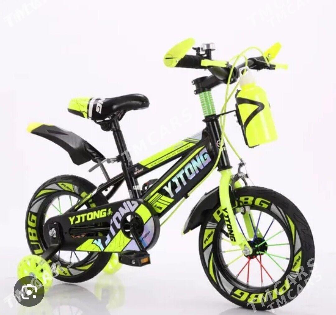 caga tigir - Bedew - img 3