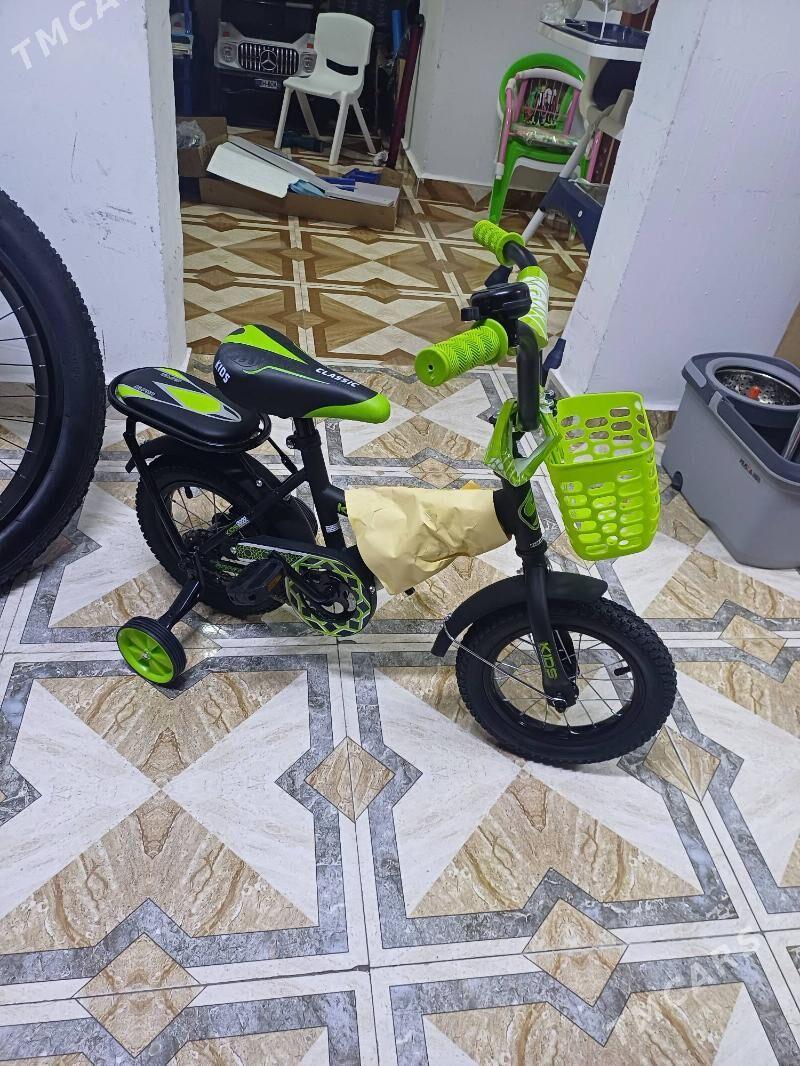 caga tigir - Bedew - img 2