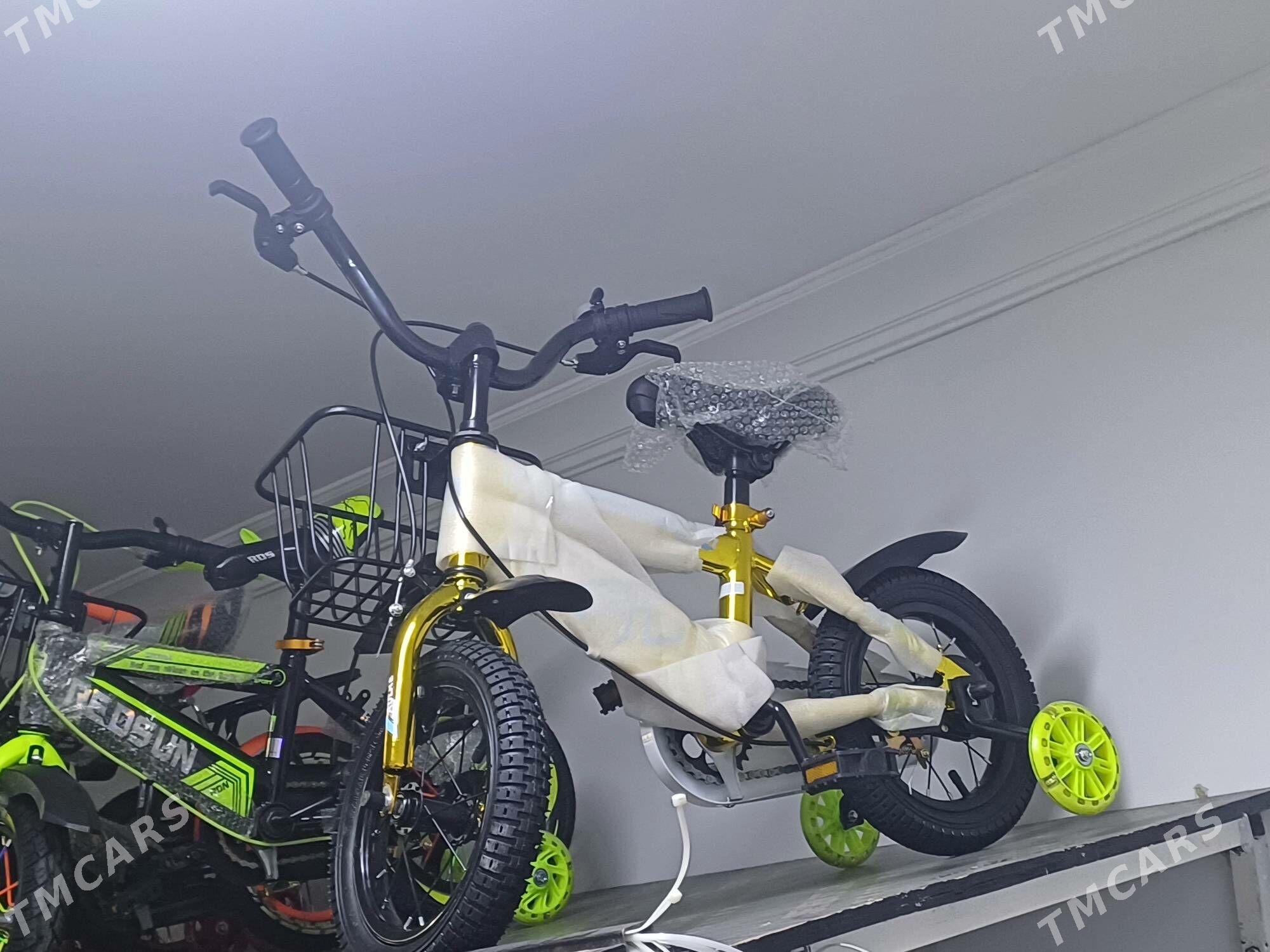 caga tigir - Bedew - img 9