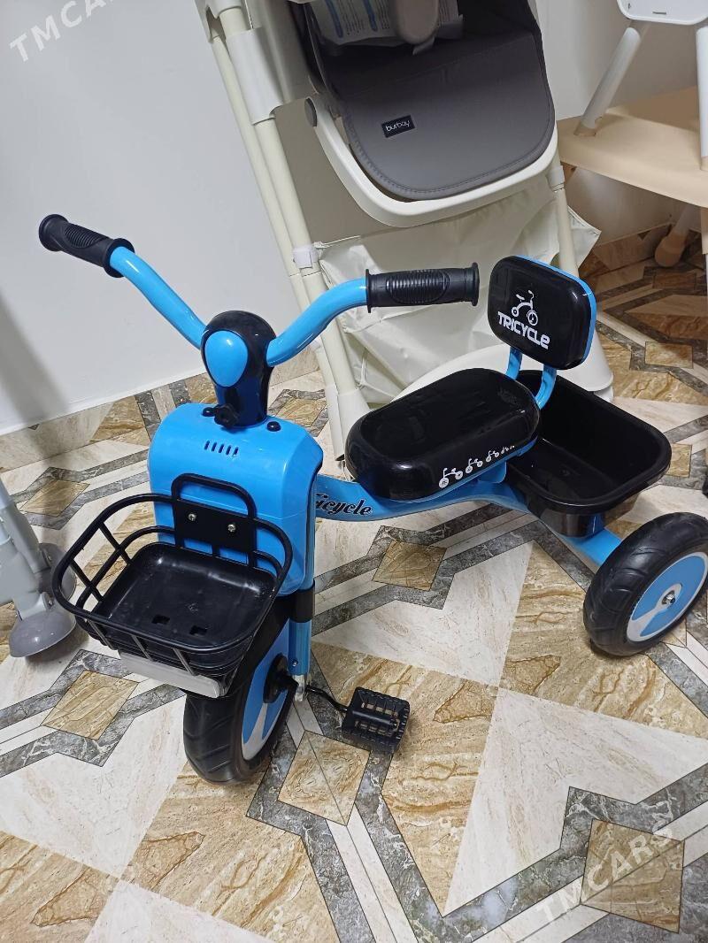 caga tigir - Bedew - img 4