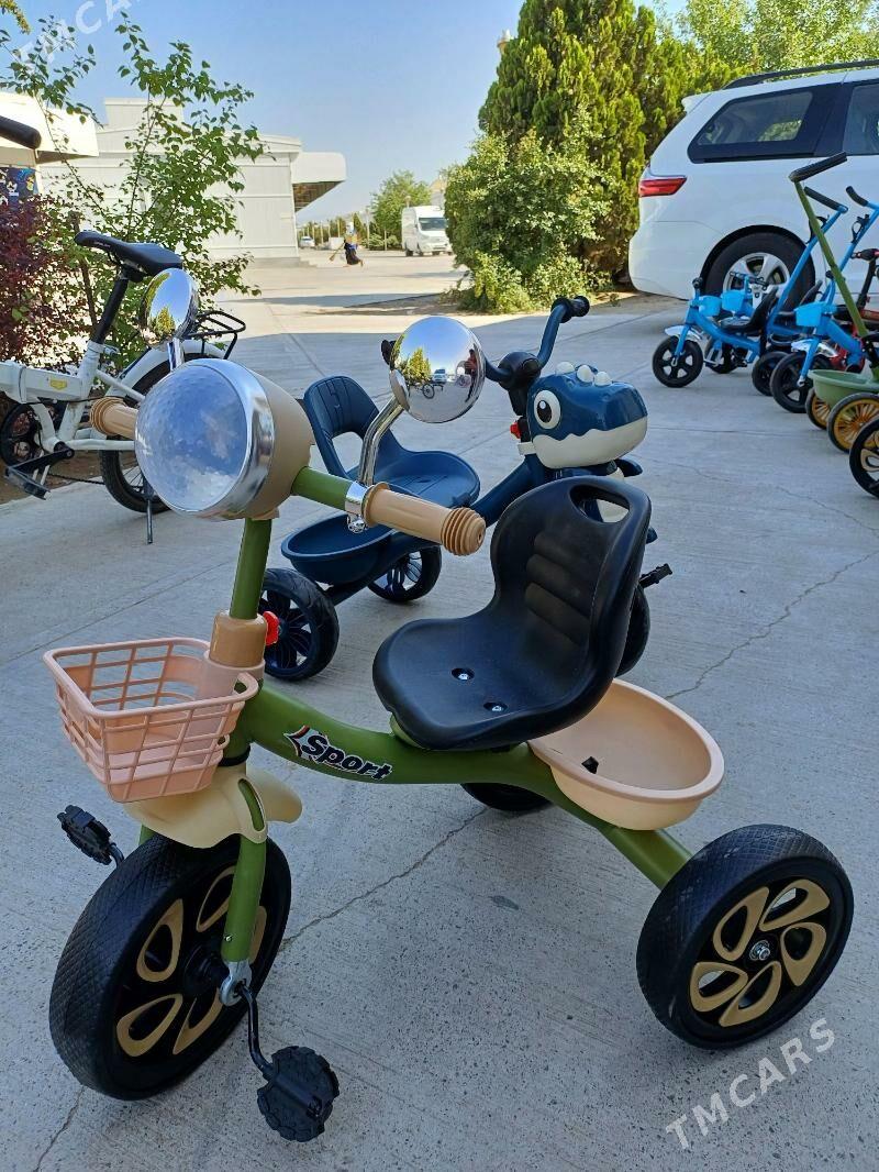 caga tigir - Bedew - img 5