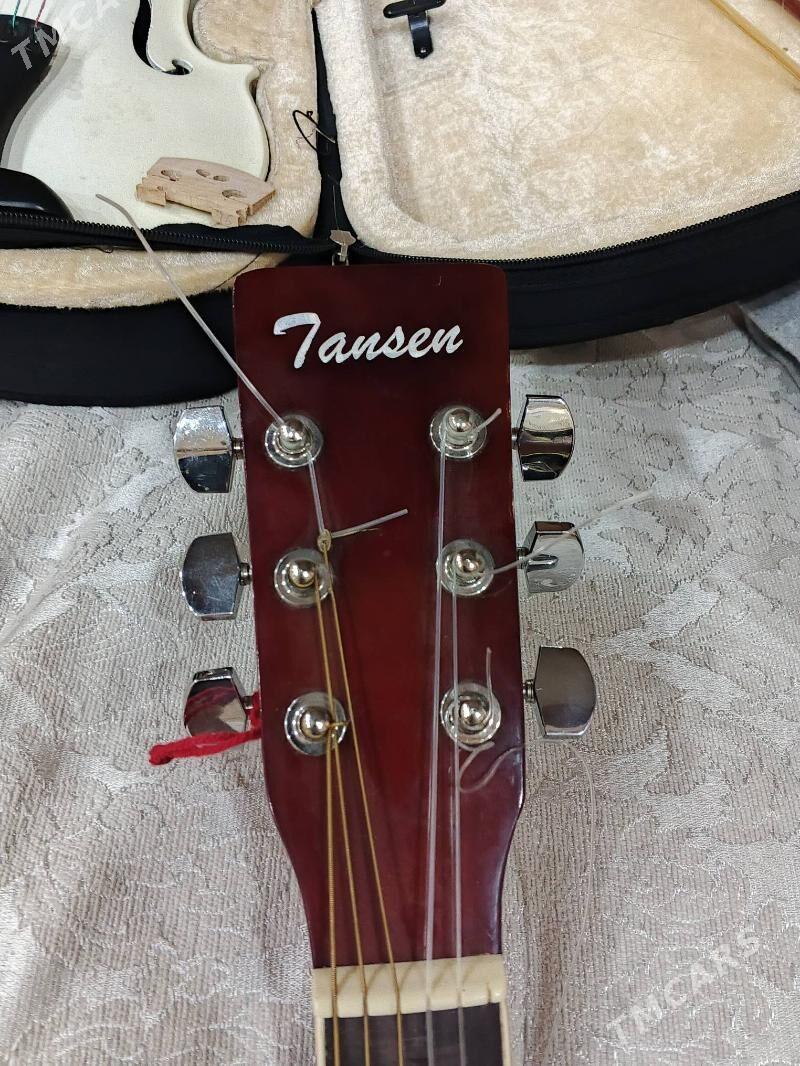 GITARA TAZEJE - Mary - img 6