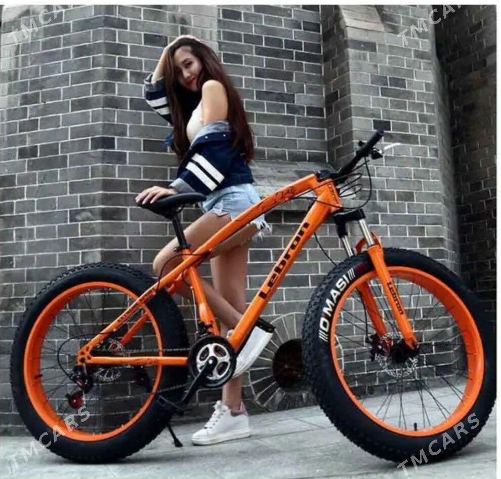 26lyk tigir yogyn teker - Bedew - img 3