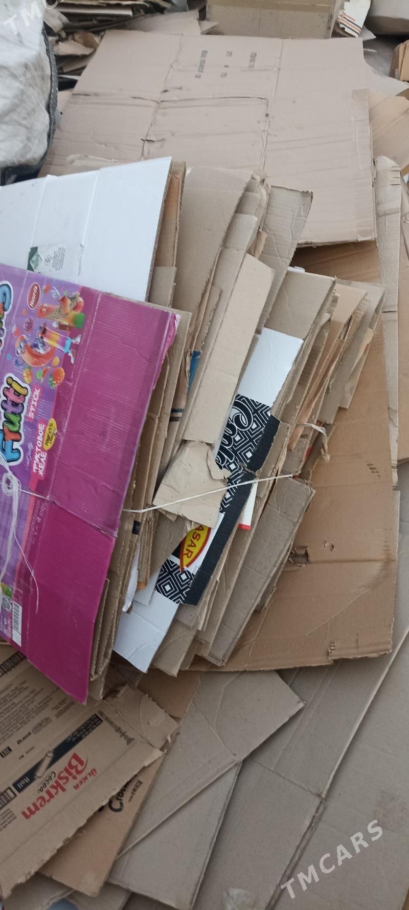 Gornusdaki plasmas alyarys - Ak bugdaý etraby - img 3