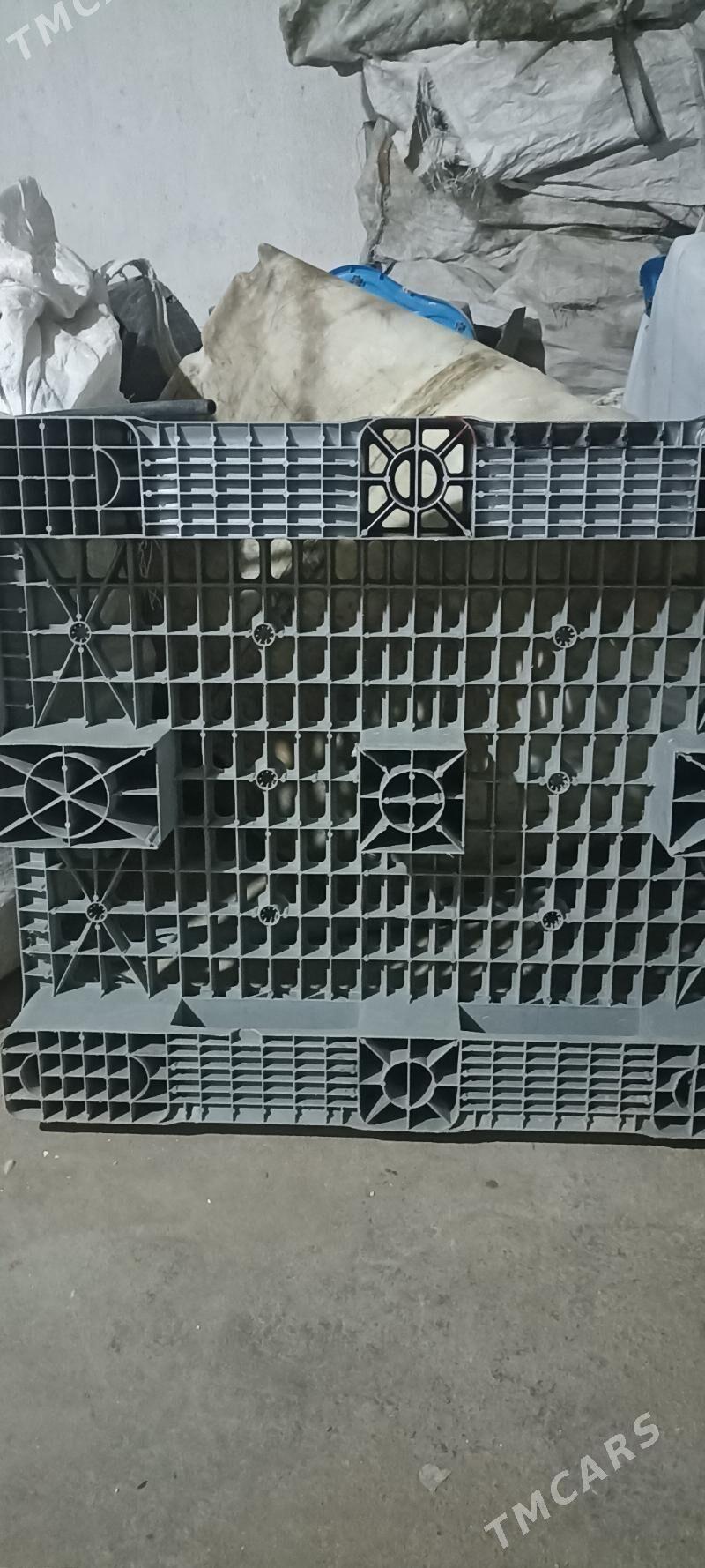 Gornusdaki plasmas alyarys - Ak bugdaý etraby - img 1