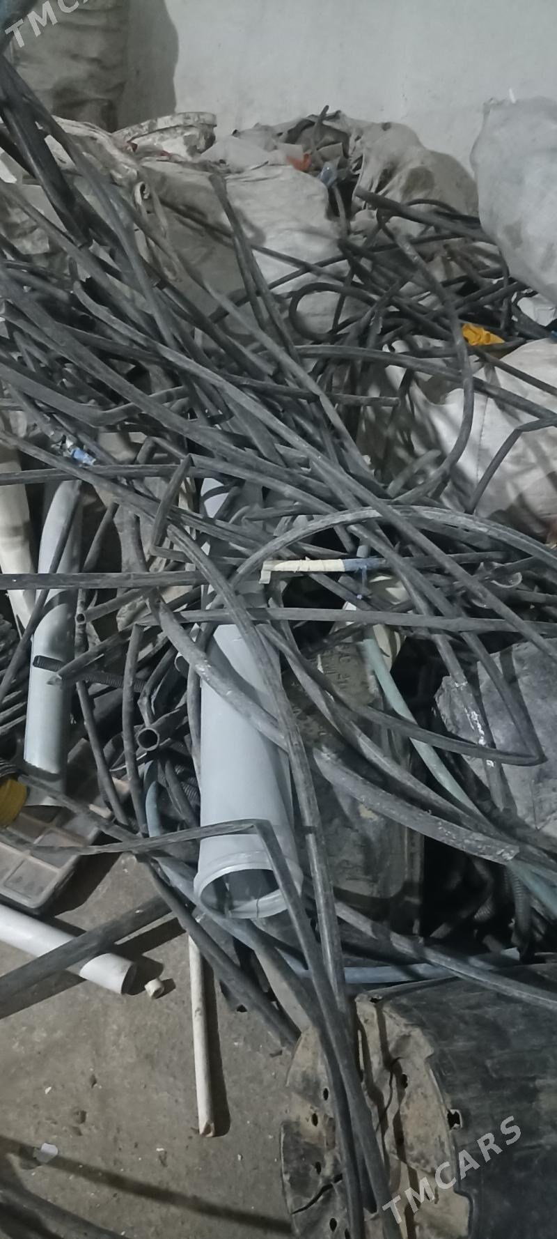 Gornusdaki plasmas alyarys - Ak bugdaý etraby - img 4