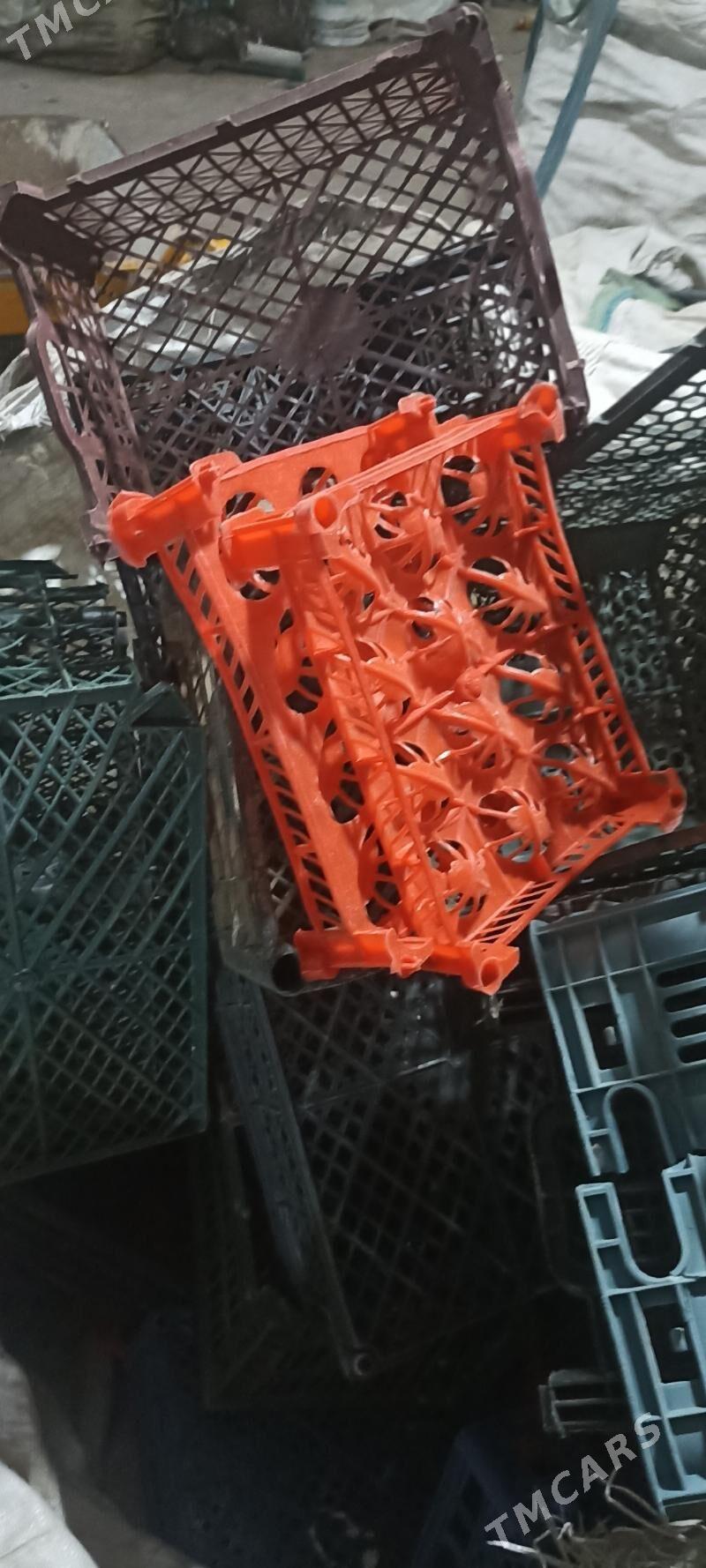 Gornusdaki plasmas alyarys - Ak bugdaý etraby - img 6