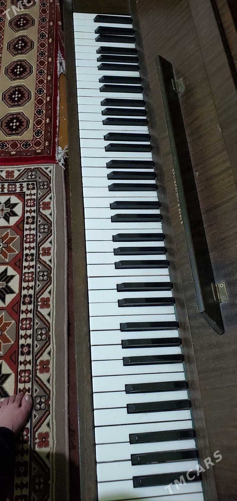 Pianino - Mary - img 3