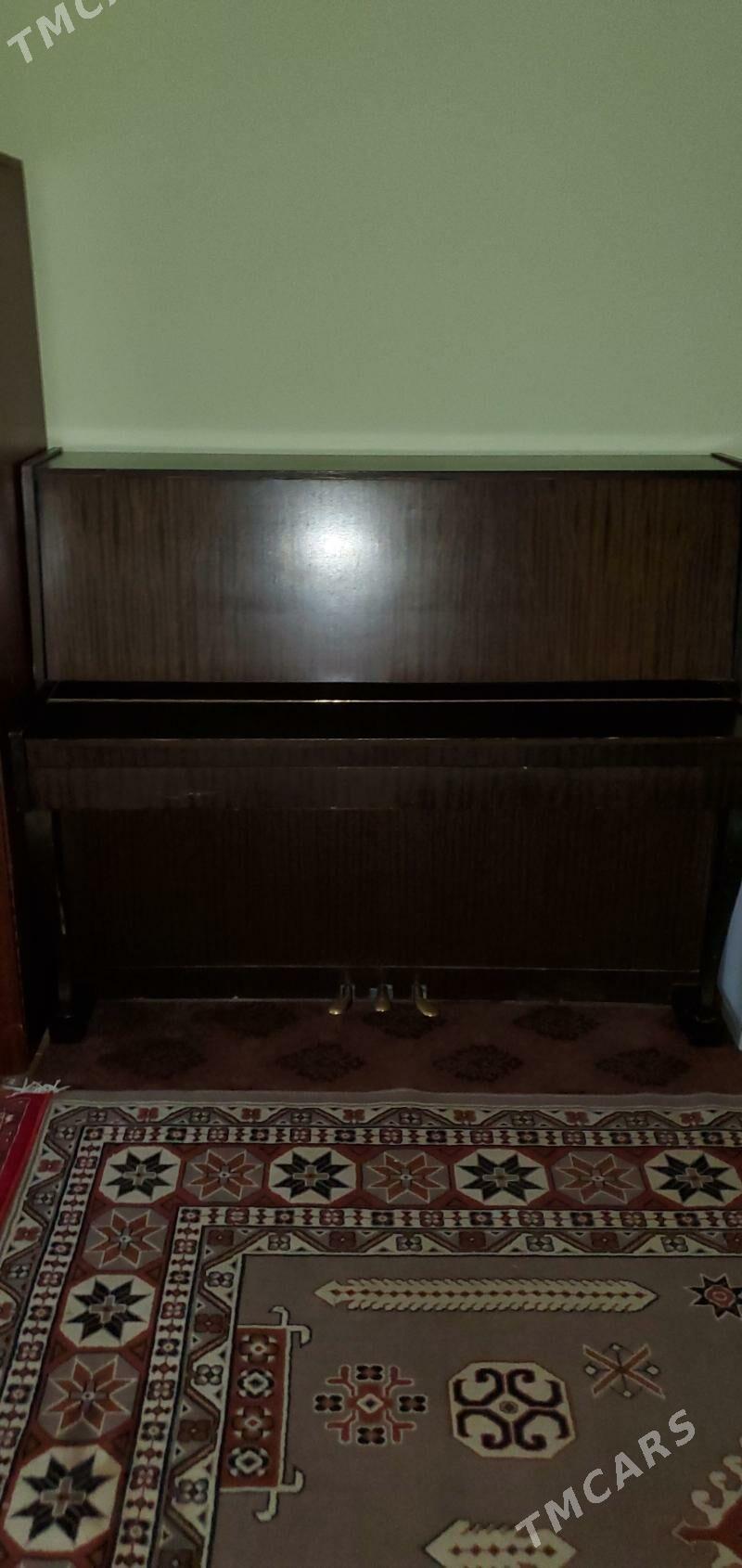 Pianino - Mary - img 2